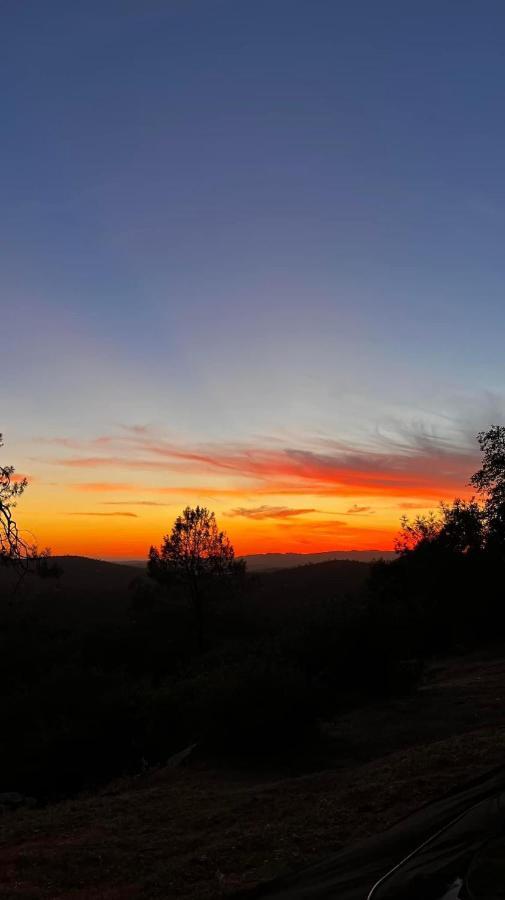 Mcmillan Ranch Yosemite Διαμέρισμα Coarsegold Εξωτερικό φωτογραφία